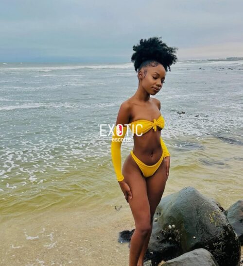 Nasrah – Your Exotic Escape ✨